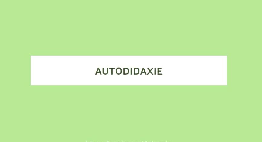 Article : L&rsquo;autodidaxie : une transformation positive du don de soi