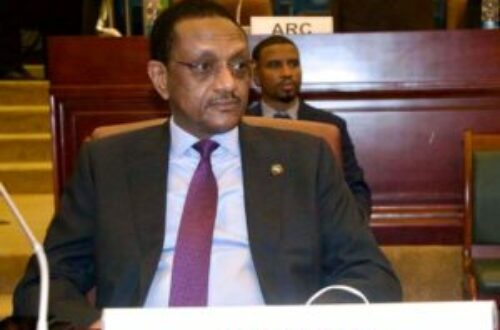 Article : Tchad: les raisons de démission du ministre des Affaires étrangères, de l’Intégration africaine et des Tchadiens de l’Etranger, Amb. Chérif Mahamat Zene